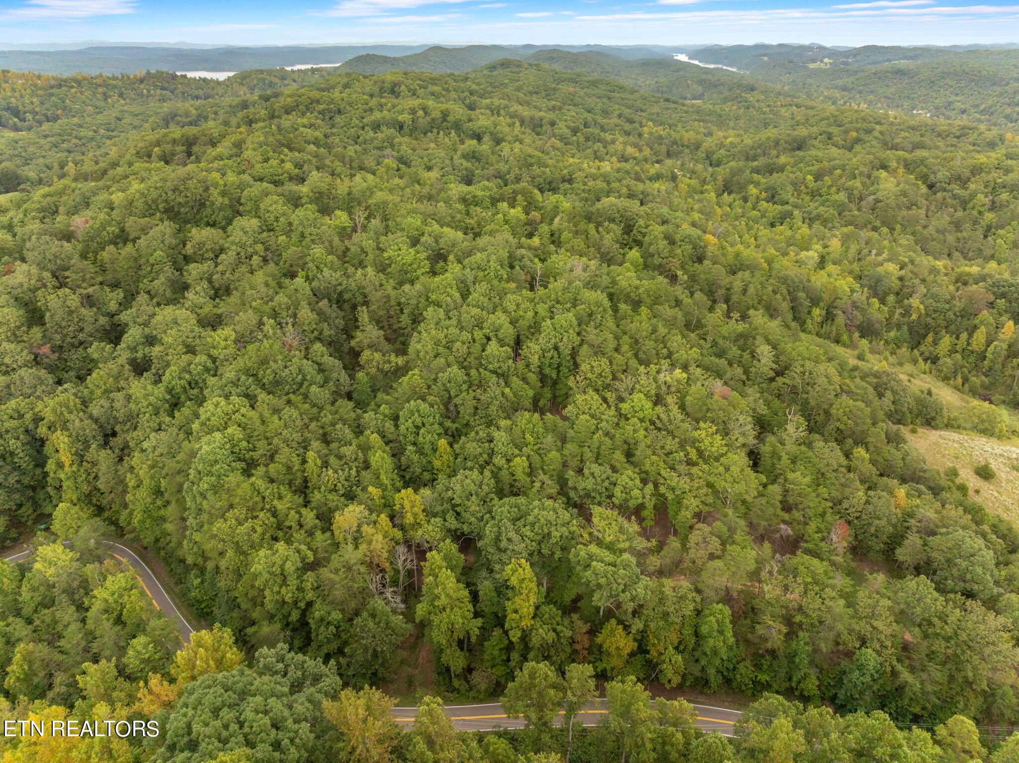 Norris Lake Real Estate - Image# 31