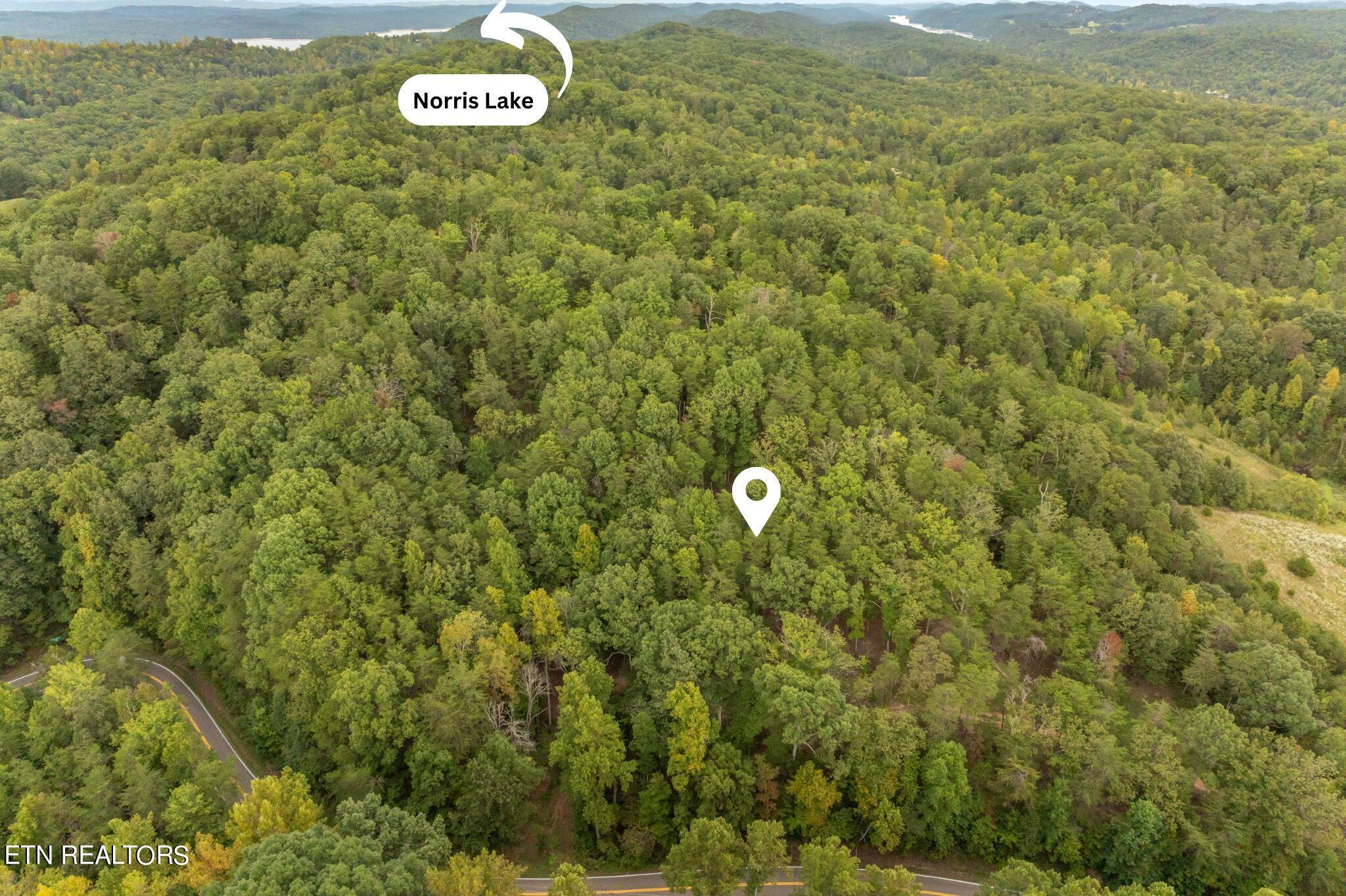 Norris Lake Real Estate - Image# 32