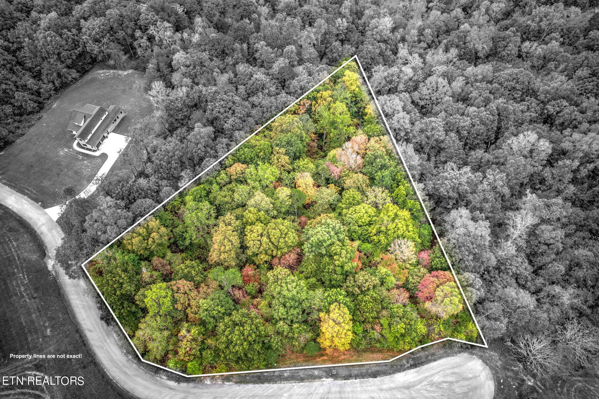 Mica Court Lot 159, New Tazewell, TN - Norris Lake Real Estate - Image# 8