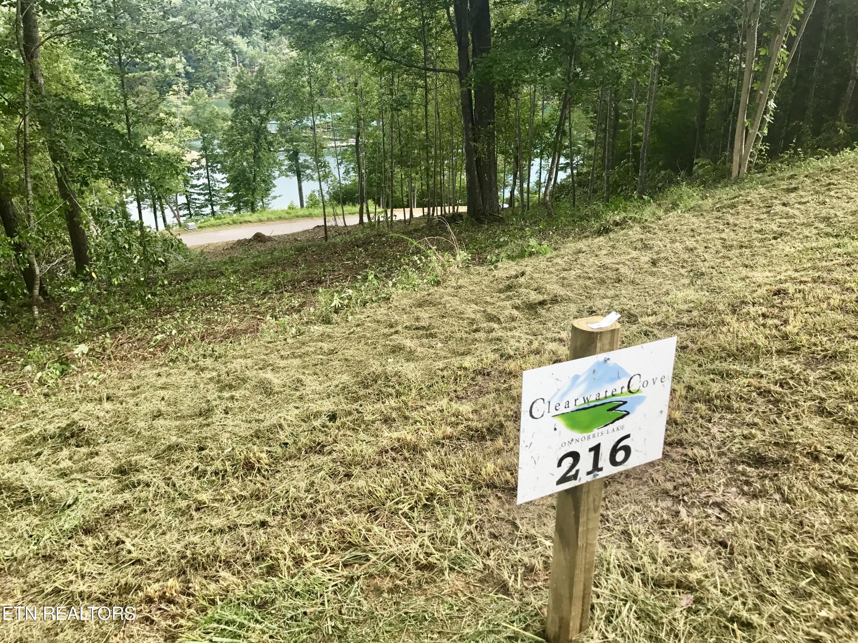 TBD Suncrest Cove, Lafollette, TN - Norris Lake Real Estate - Image# 1