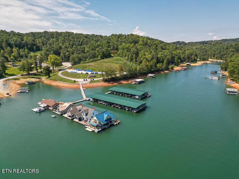 TBD Suncrest Cove, Lafollette, TN - Norris Lake Real Estate - Image# 6