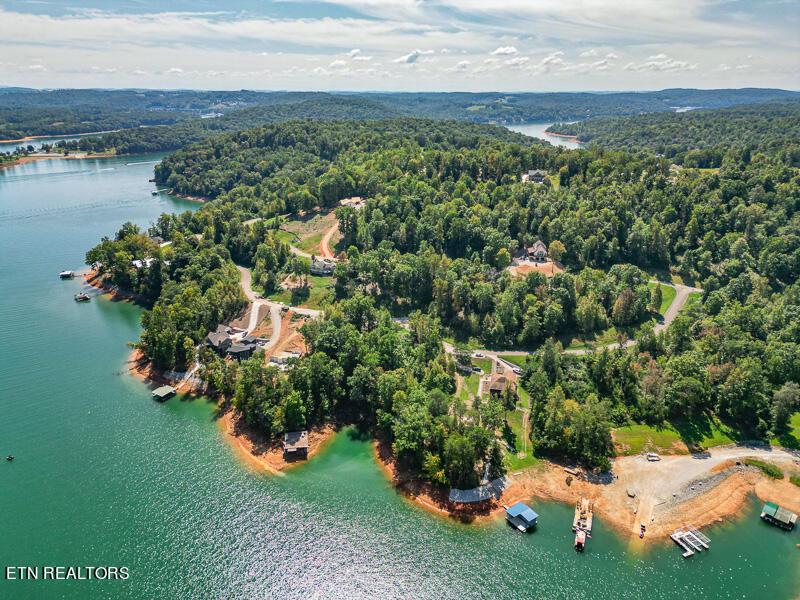TBD Suncrest Cove, Lafollette, TN - Norris Lake Real Estate - Image# 8