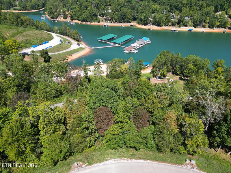 TBD Suncrest Cove, Lafollette, TN - Norris Lake Real Estate - Image# 15