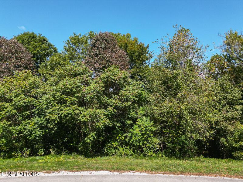 TBD Suncrest Cove, Lafollette, TN - Norris Lake Real Estate - Image# 16