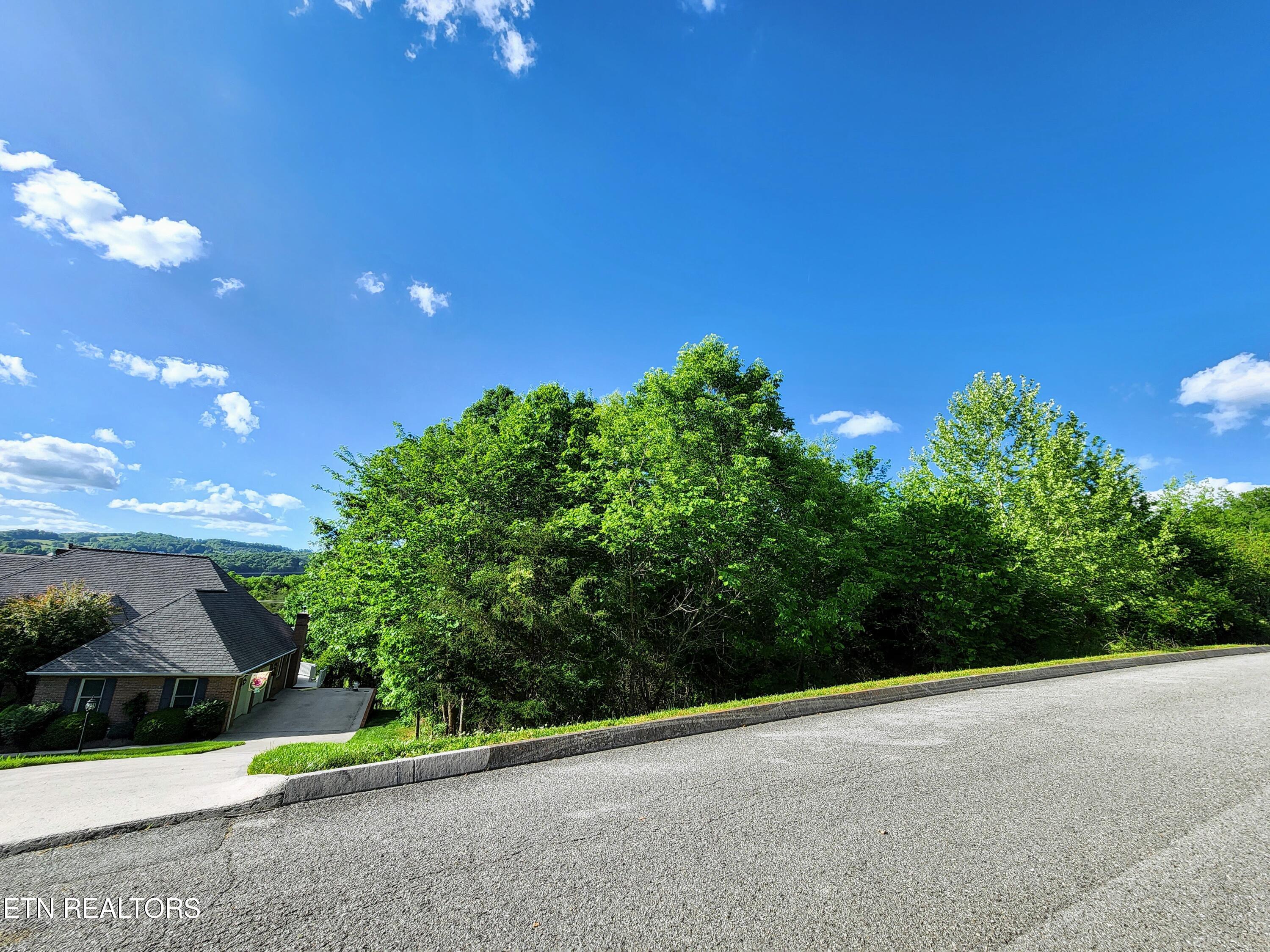 738 Bluegreen Way, Tazewell, TN - Norris Lake Real Estate - Image# 28