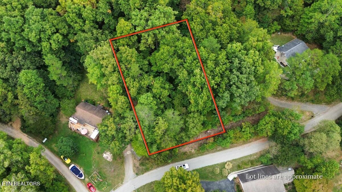 Norris Lake Real Estate - Image# 2