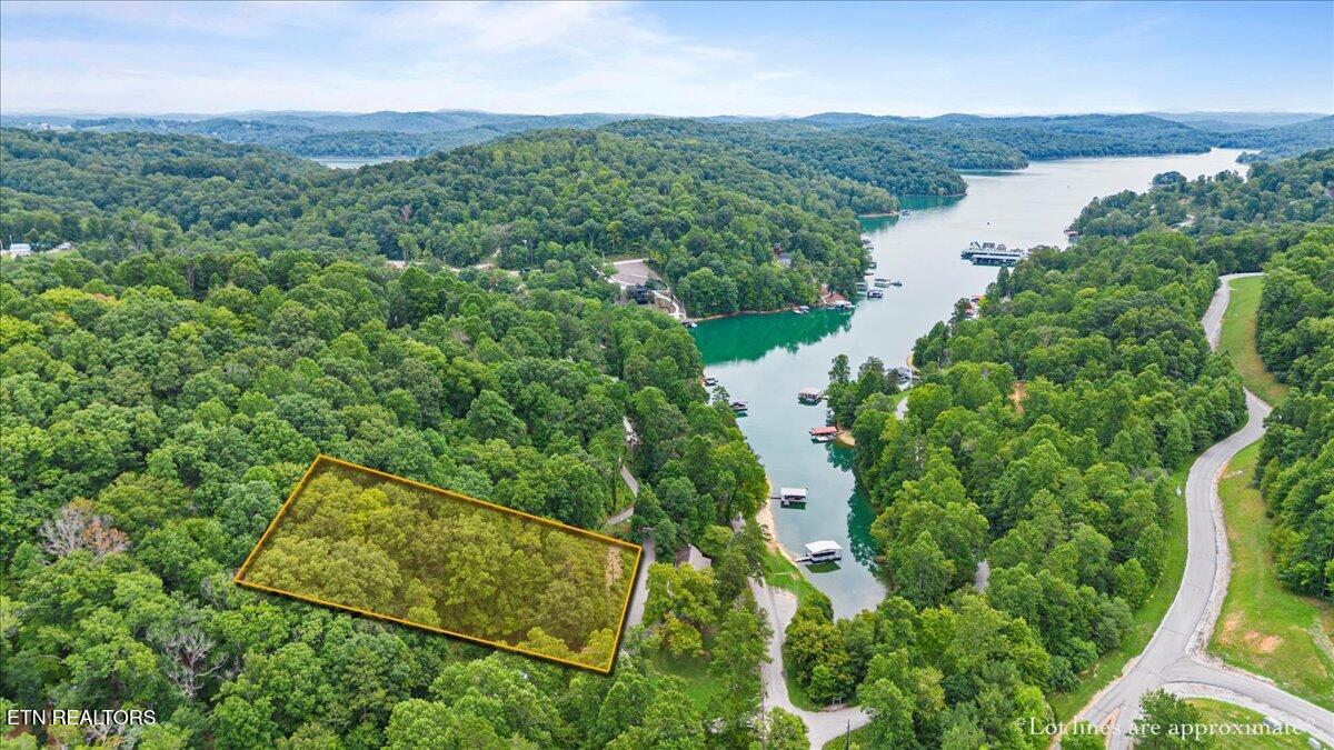 Norris Lake Real Estate - Image# 3