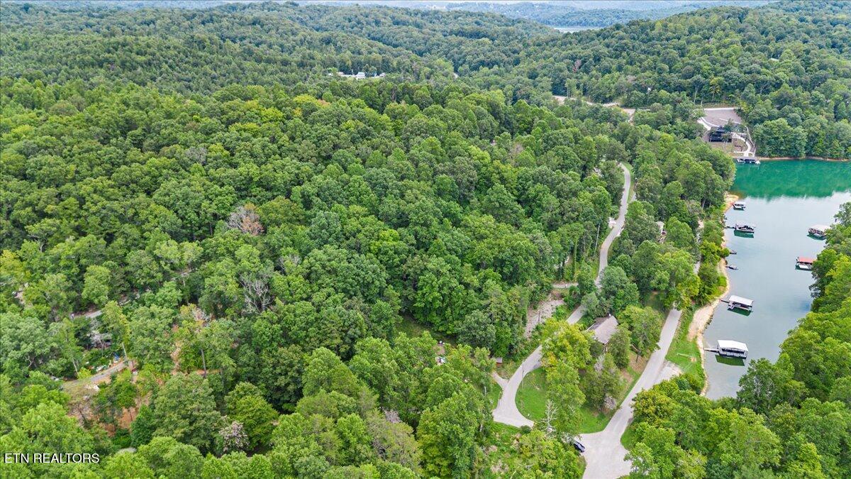 Norris Lake Real Estate - Image# 7