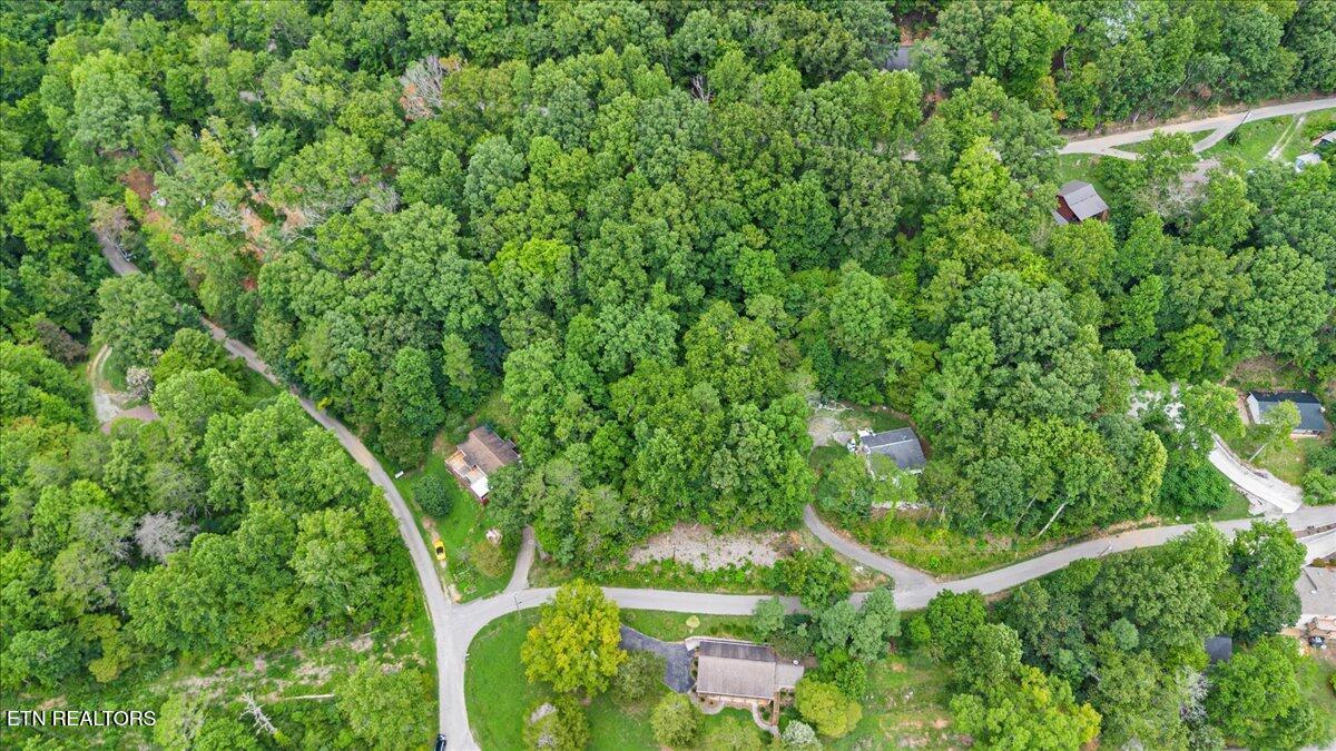 Norris Lake Real Estate - Image# 11