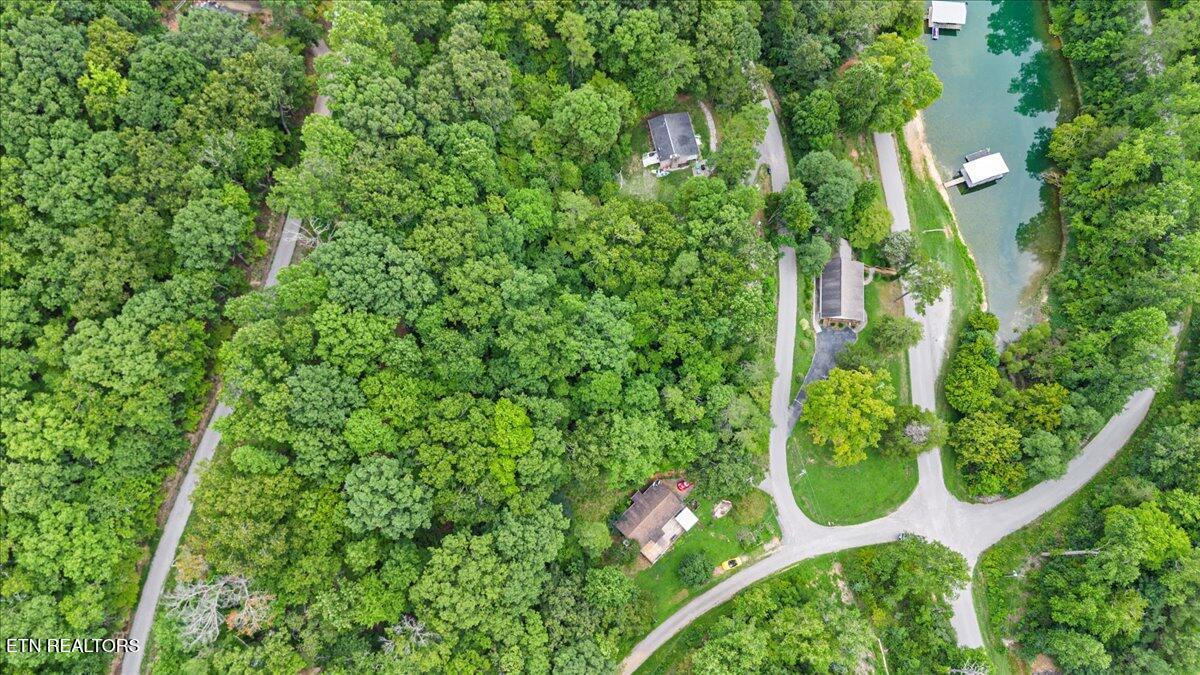 Norris Lake Real Estate - Image# 13