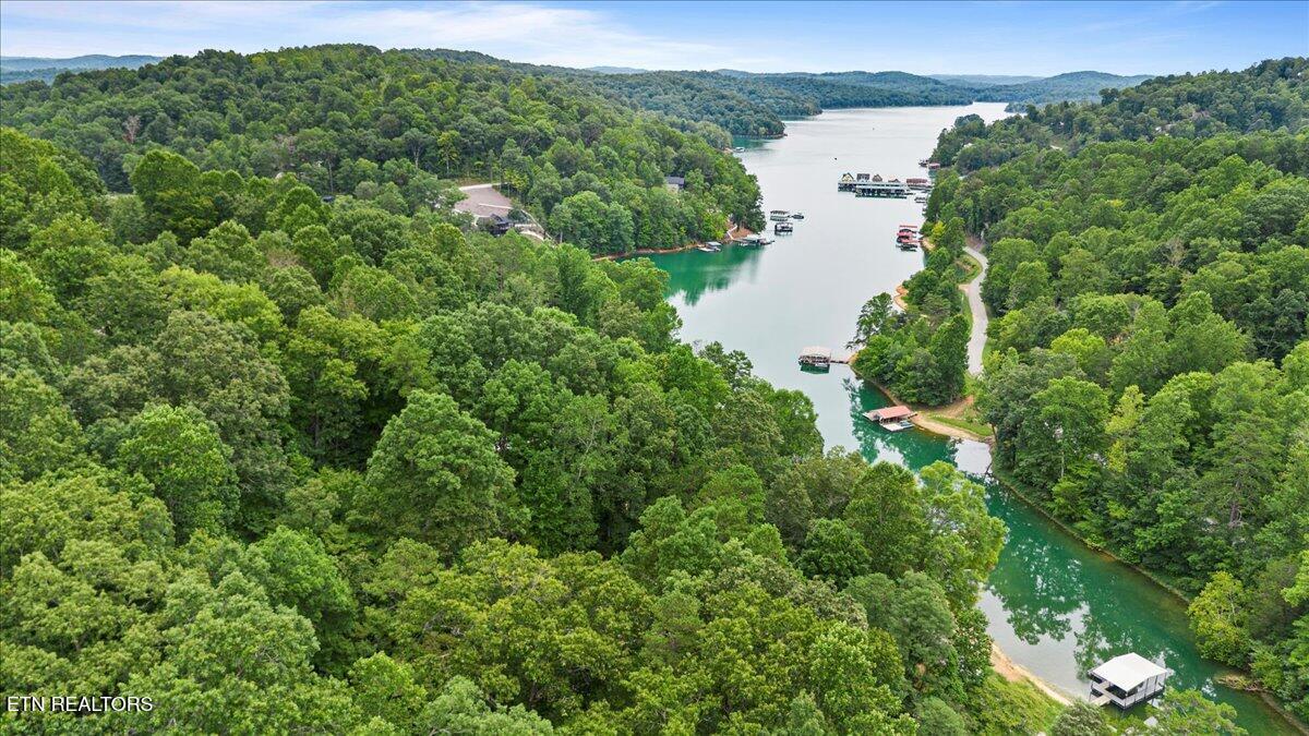 Norris Lake Real Estate - Image# 14