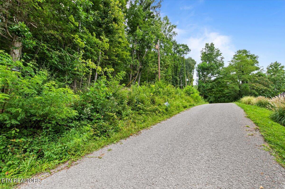Norris Lake Real Estate - Image# 15