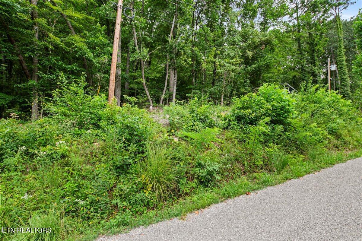 Norris Lake Real Estate - Image# 16