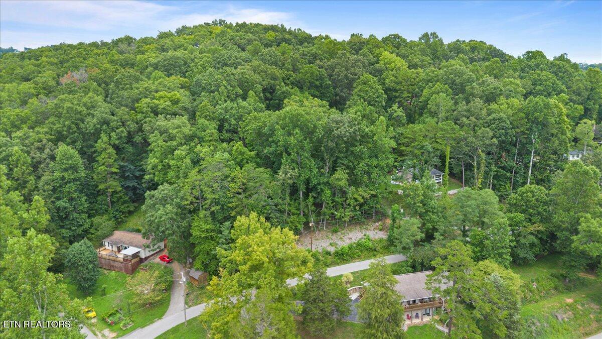Norris Lake Real Estate - Image# 18