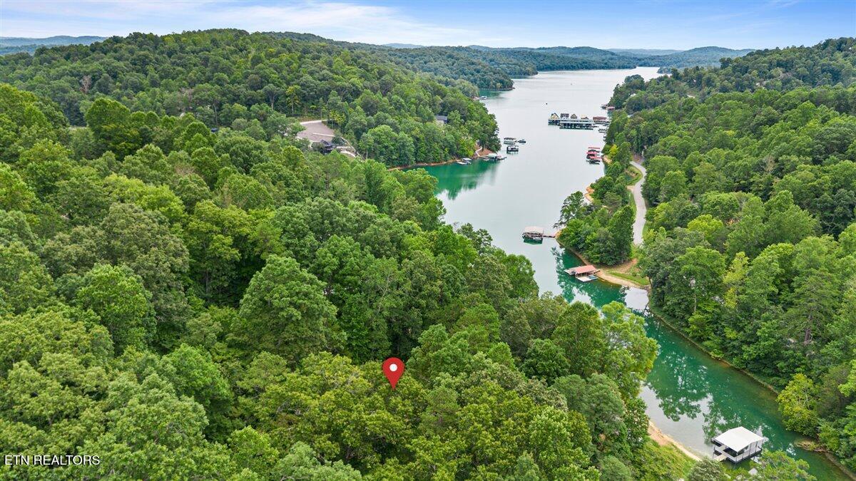 Norris Lake Real Estate - Image# 19