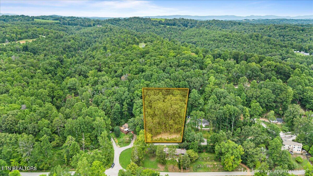 Norris Lake Real Estate - Image# 20
