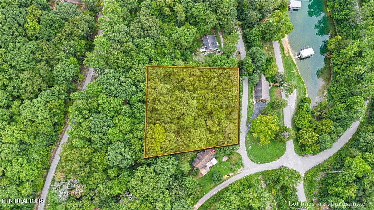 Norris Lake Real Estate - Image# 21