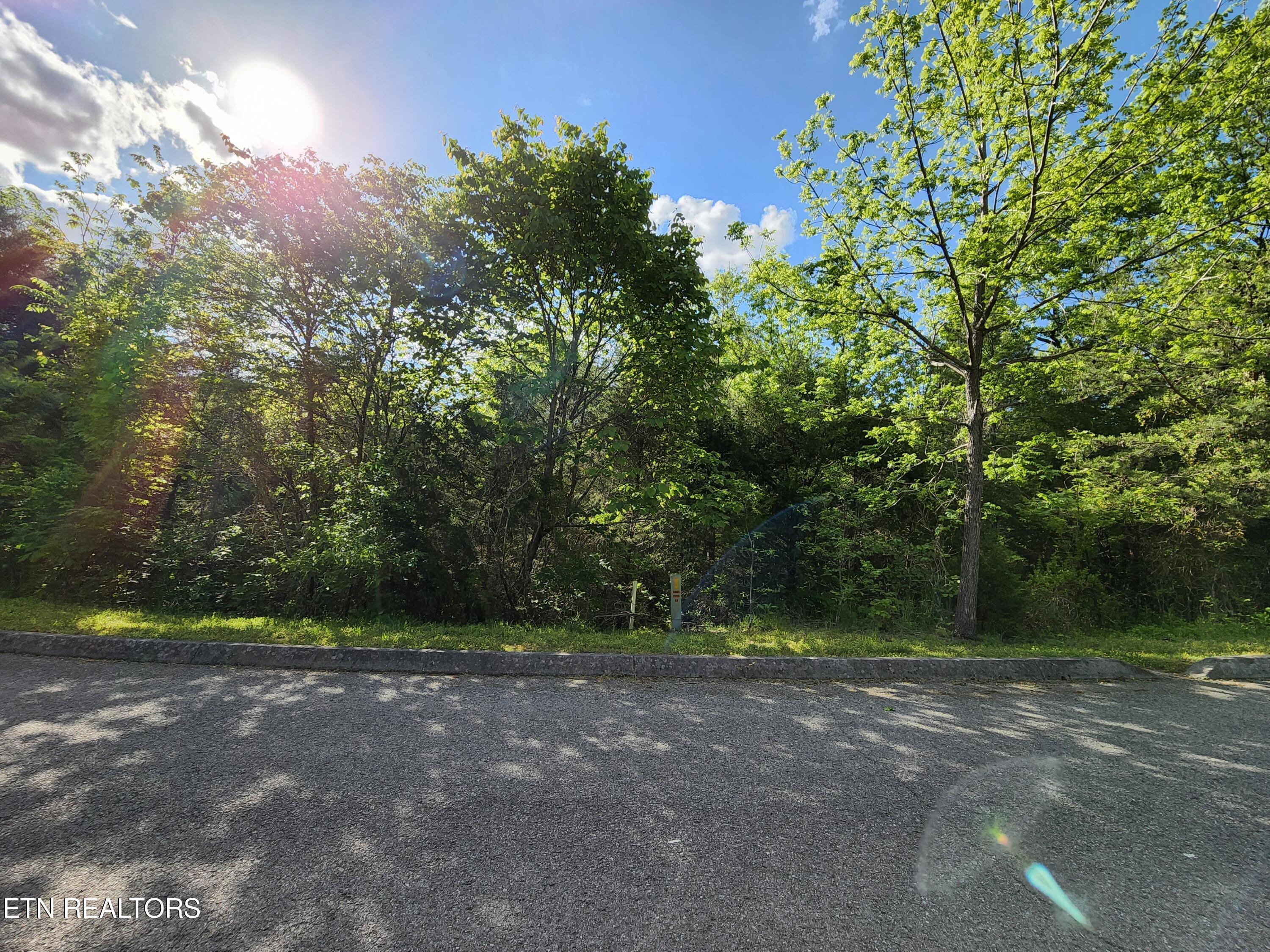 728 Bluegreen Way, Tazewell, TN - Norris Lake Real Estate - Image# 26
