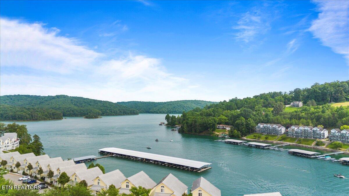 Norris Lake Real Estate - Image# 50