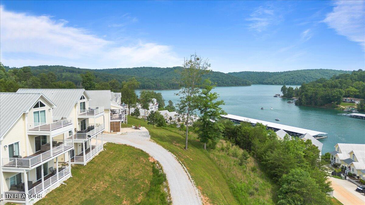 Norris Lake Real Estate - Image# 51