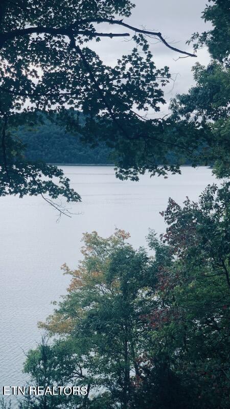 Norris Lake Real Estate - Image# 1