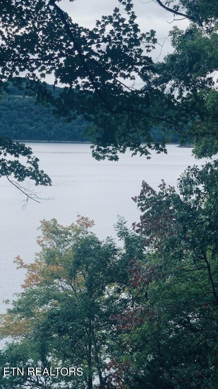 Norris Lake Real Estate - Image# 3