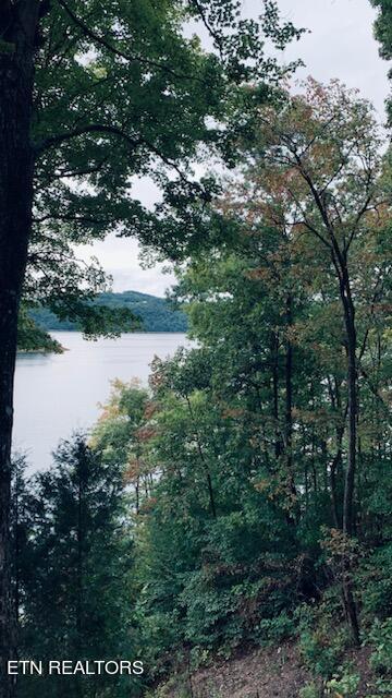 Norris Lake Real Estate - Image# 4