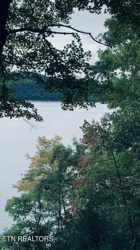 Norris Lake Real Estate - Image# 5