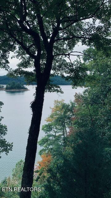 Norris Lake Real Estate - Image# 6
