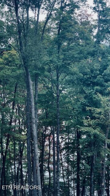 Norris Lake Real Estate - Image# 11