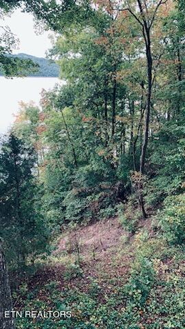 Norris Lake Real Estate - Image# 8
