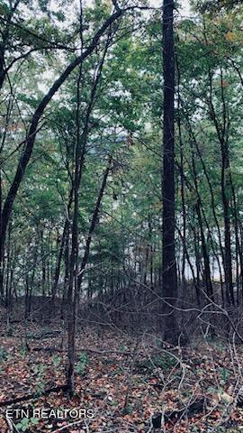 Norris Lake Real Estate - Image# 10