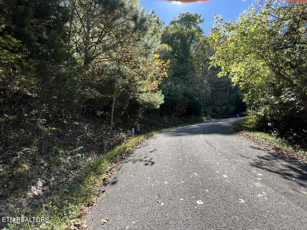 Lot 93 Swan Song Tr, Sharps Chapel, TN - Norris Lake Real Estate - Image# 20