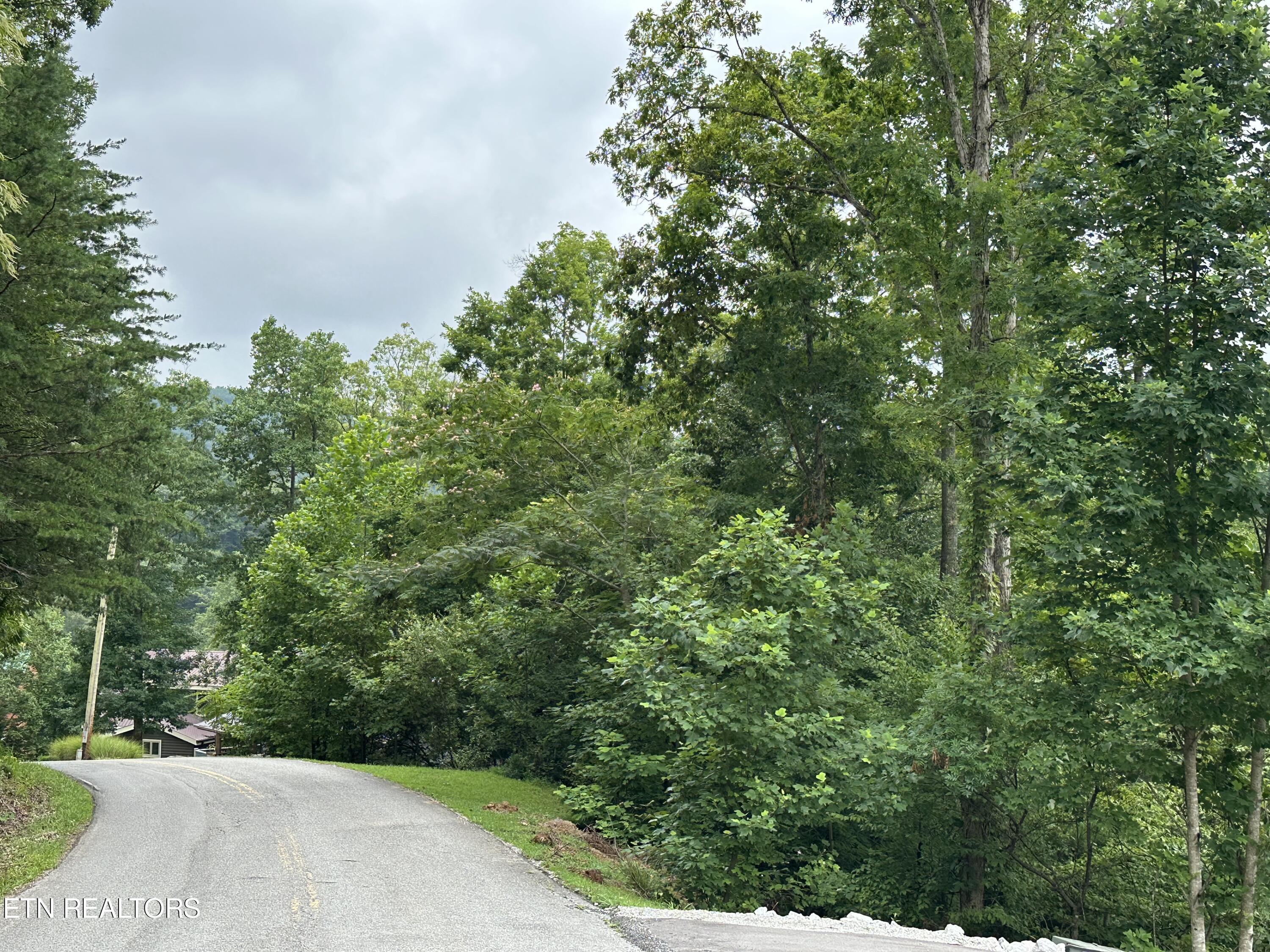 lot 21 Ridge Rd, Caryville, TN - Norris Lake Real Estate - Image# 2