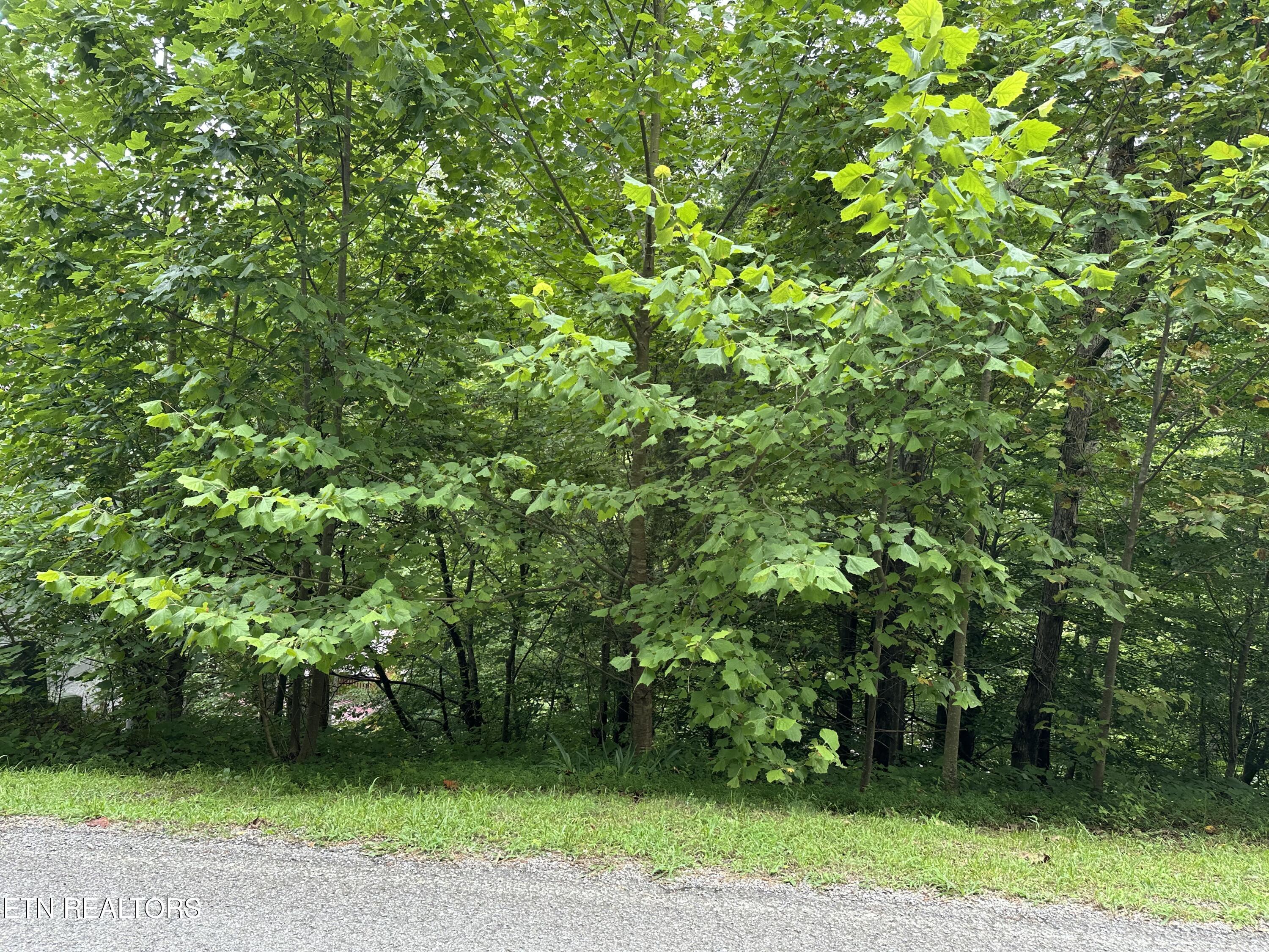lot 21 Ridge Rd, Caryville, TN - Norris Lake Real Estate - Image# 4