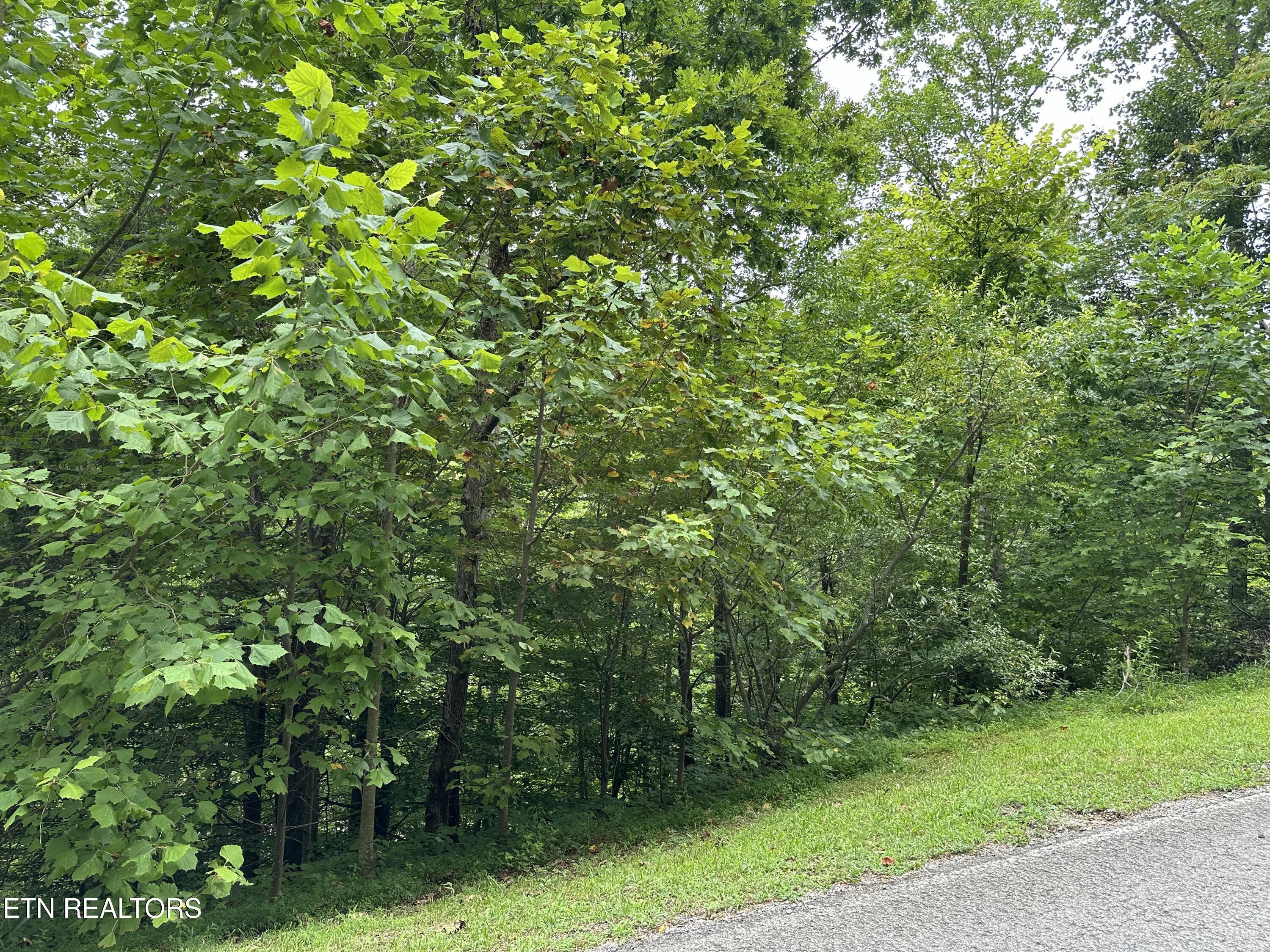 lot 21 Ridge Rd, Caryville, TN - Norris Lake Real Estate - Image# 1