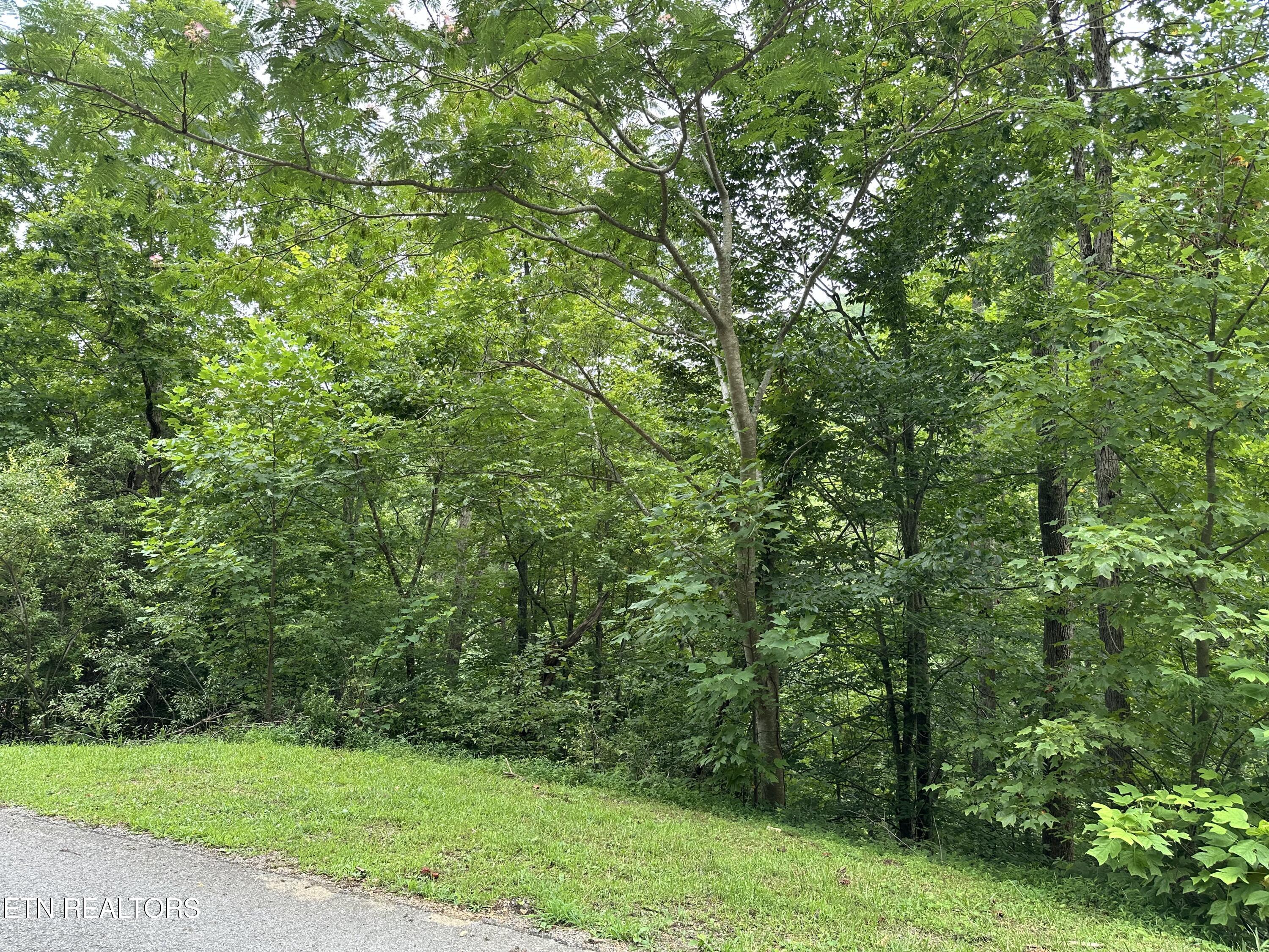 lot 21 Ridge Rd, Caryville, TN - Norris Lake Real Estate - Image# 5