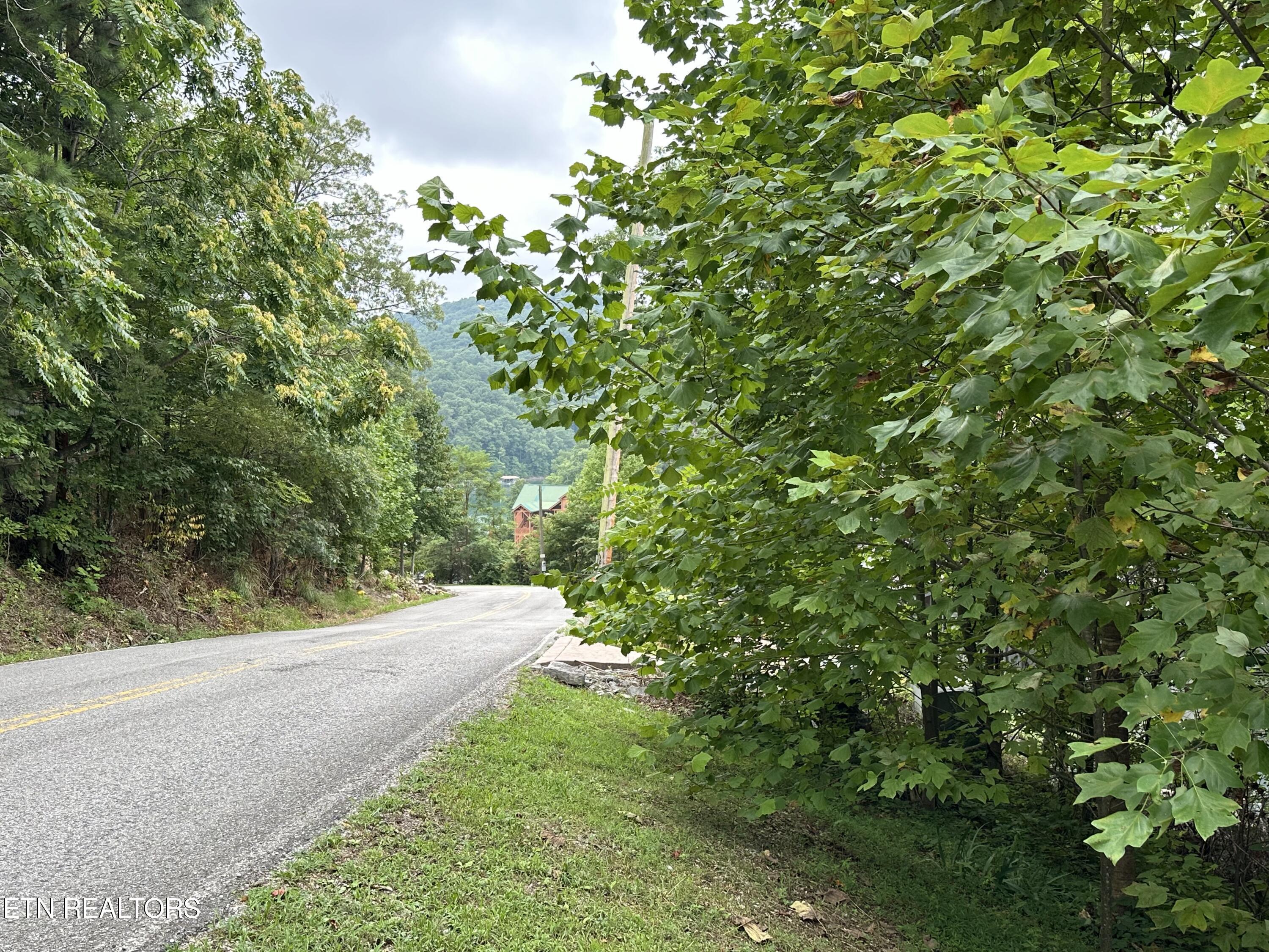 lot 21 Ridge Rd, Caryville, TN - Norris Lake Real Estate - Image# 7