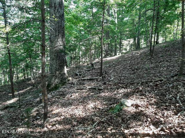 Deer Pond Circle, Lafollette, TN - Norris Lake Real Estate - Image# 4