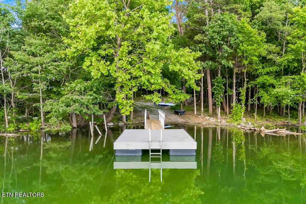 610 Cape Norris Rd, New Tazewell, TN - Norris Lake Real Estate - Image# 50