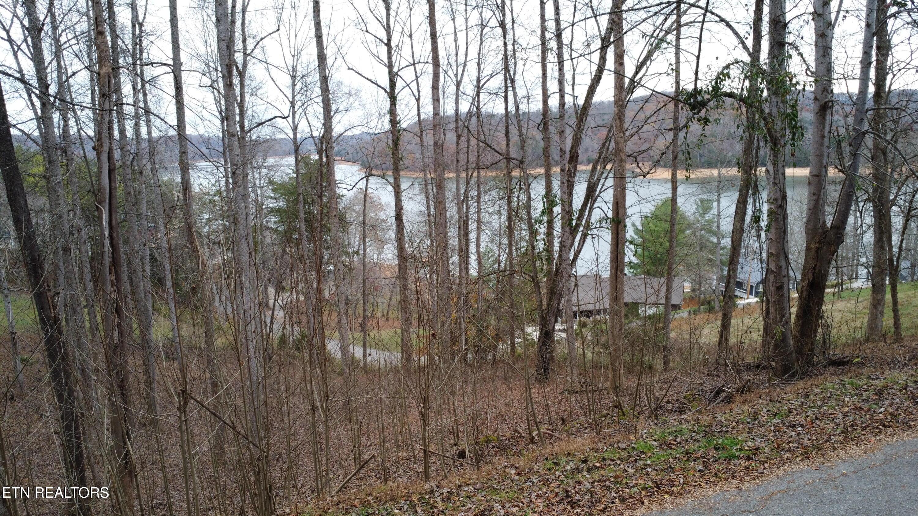 Little Buck Lane, Lafollette, TN - Norris Lake Real Estate - Image# 1