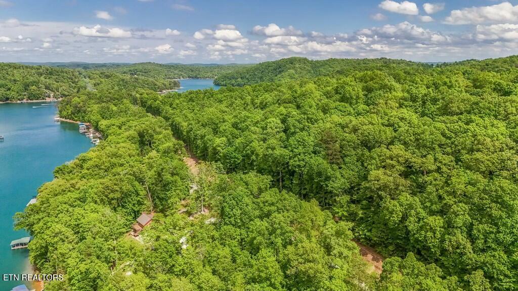 Yoakum Hollow Rd, Jacksboro, TN - Norris Lake Real Estate - Image# 16