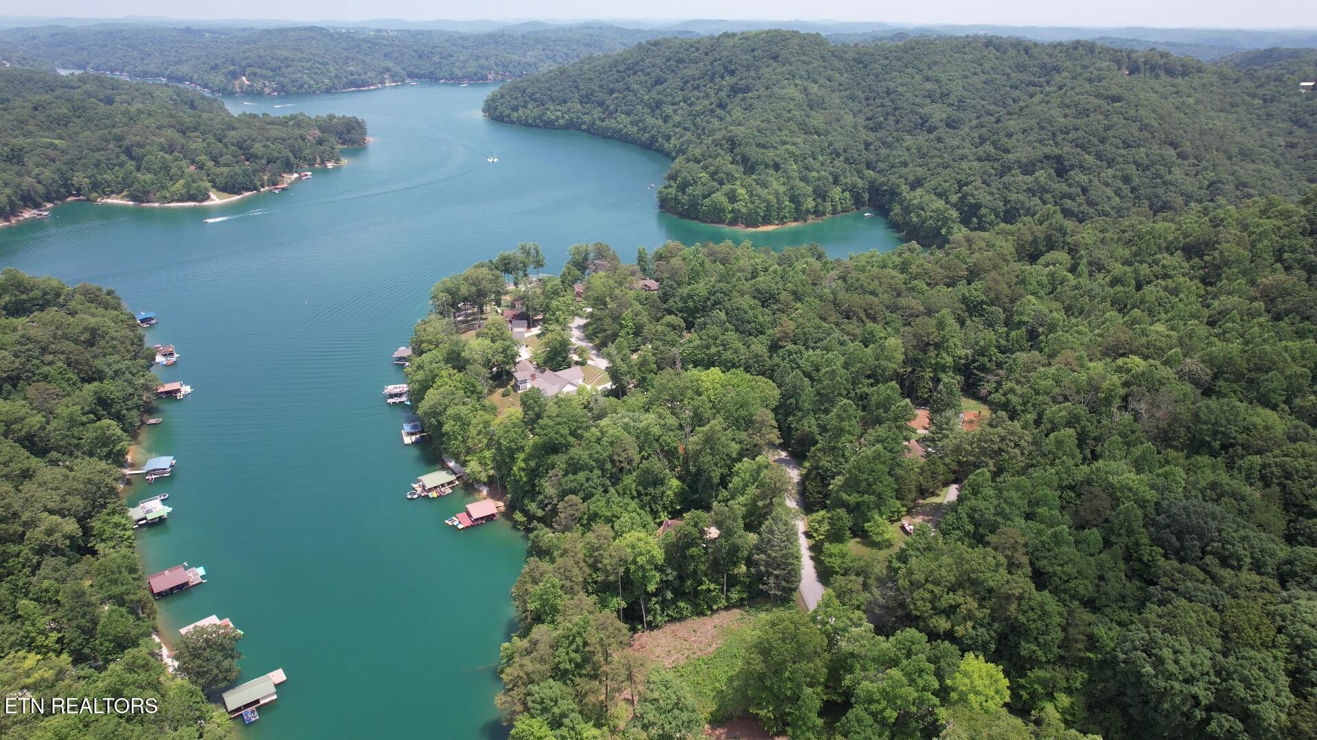 1.01ac Hiwassee View Drive, Jacksboro, TN - Norris Lake Real Estate - Image# 4