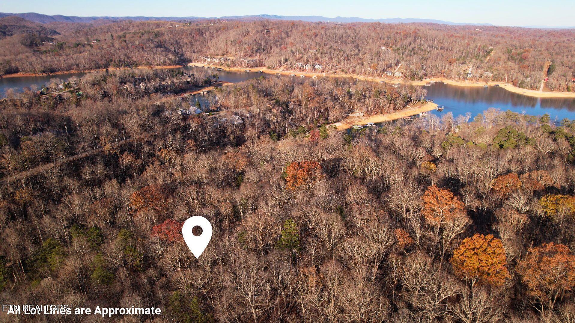 1.01ac Hiwassee View Drive, Jacksboro, TN - Norris Lake Real Estate - Image# 7