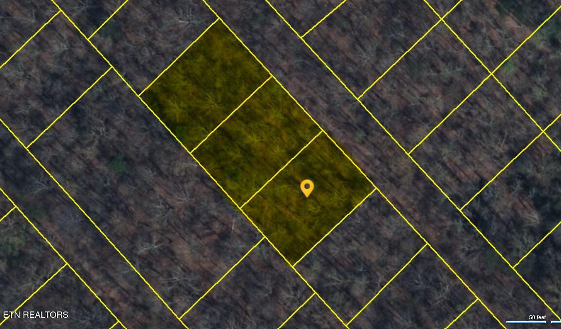 1.01ac Hiwassee View Drive, Jacksboro, TN - Norris Lake Real Estate - Image# 21