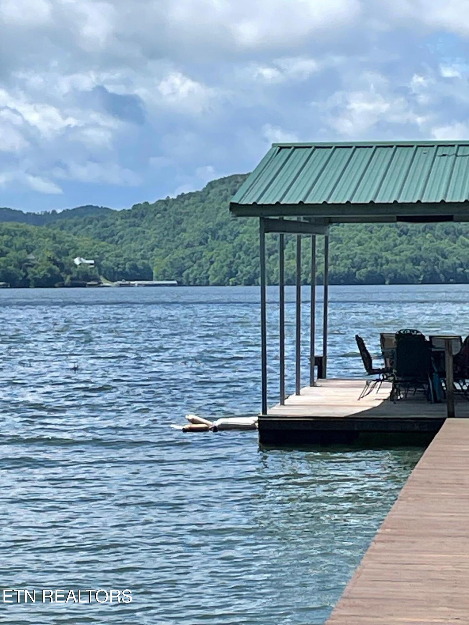Norris Lake Real Estate - Image# 8