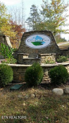175 lot Waterside Lane, Lafollette, TN - Norris Lake Real Estate - Image# 7