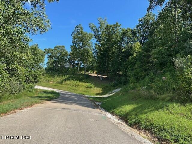 220 - 221 Suncrest Cove, Lafollette, TN - Norris Lake Real Estate - Image# 14