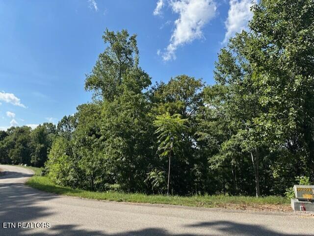 220 - 221 Suncrest Cove, Lafollette, TN - Norris Lake Real Estate - Image# 16