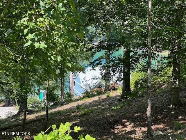 220 - 221 Suncrest Cove, Lafollette, TN - Norris Lake Real Estate - Image# 18